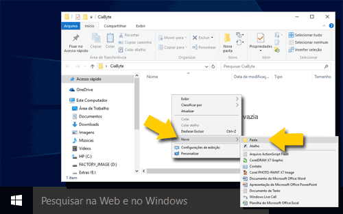 tela do Windows com criação de pastas no Windows Explorer